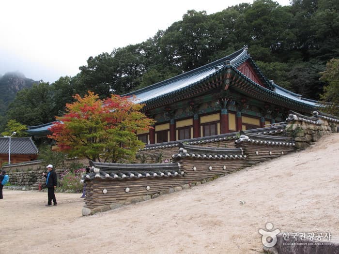 설악 신흥사 (23)