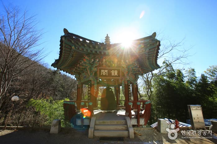 홍룡사_011