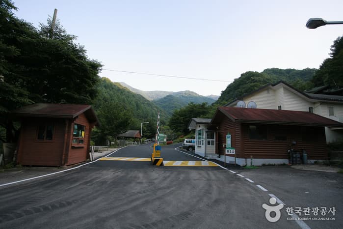 지리산자연휴양림
