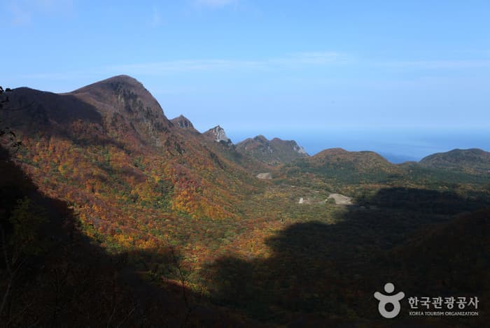 1311경북_울릉_성인봉 22