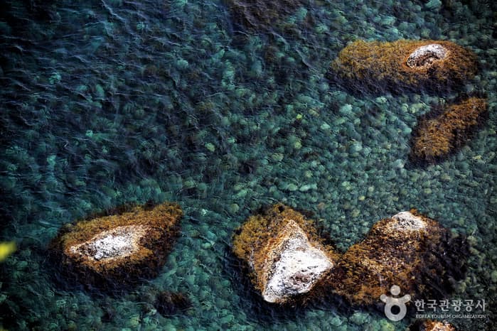 청사초롱_경북_울릉_울릉도, 그 섬을 기억하는 시간05