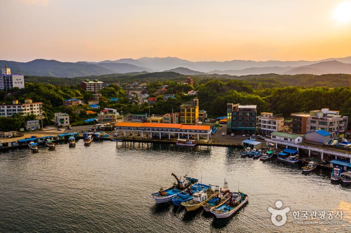 남애항