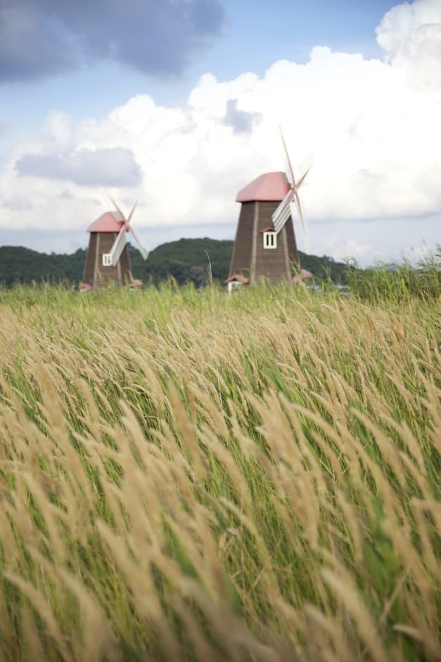 소래습지생태공원_7