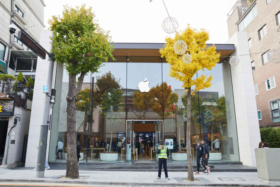 신사동 가로수길 (5)