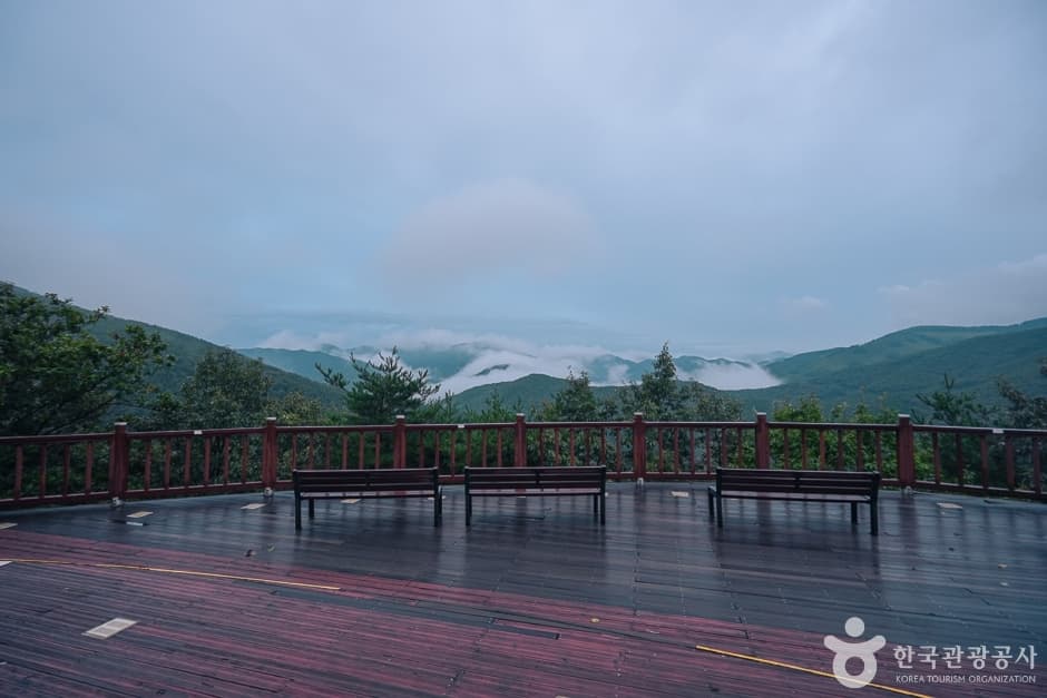N02756_충남_보령_옥마산(5)