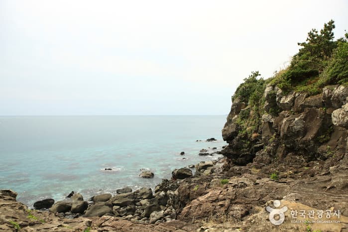 제주올레 5코스 큰엉 산책로_7