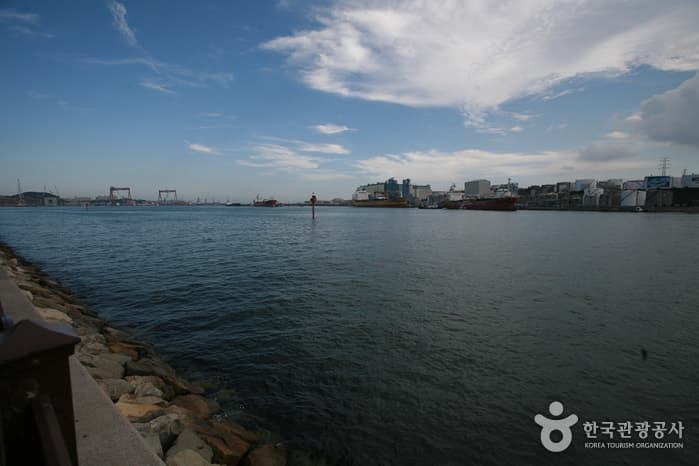 울산극경회유해면