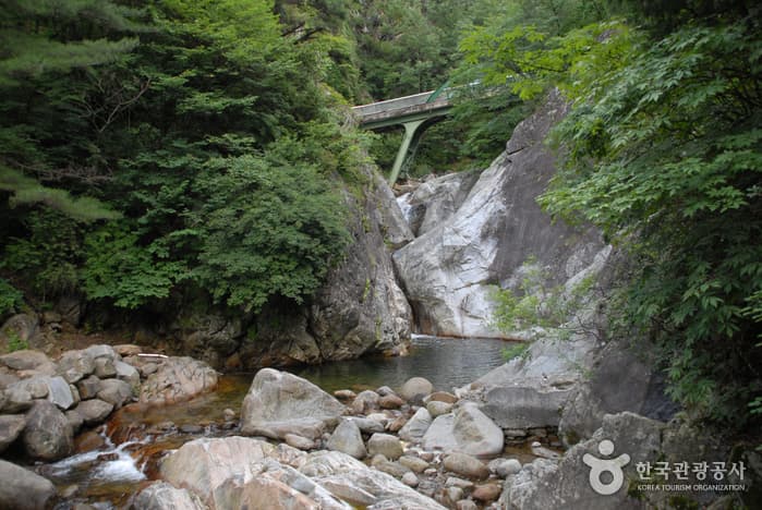 소백산국립공원(단양군)