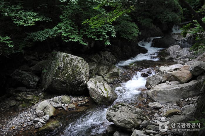 구천동계곡