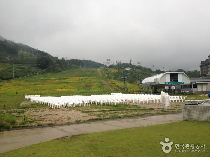 강원_평창_홀리데이인 알펜시아 평창 리조트05