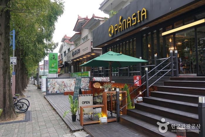 창원 가로수길(12)
