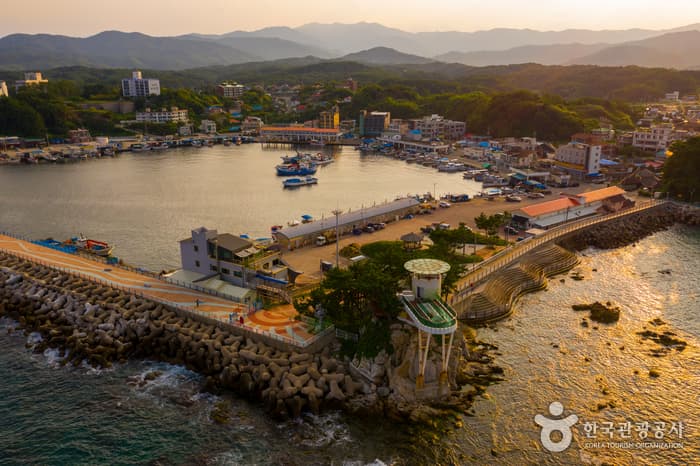 남애항