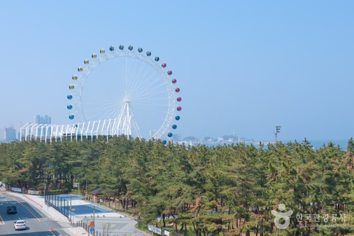 Sokcho Eye (속초해수욕장 대관람차(속초아이))