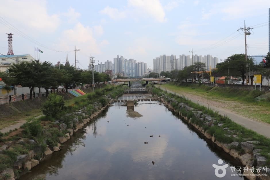 소제동 카페 거리 (11)