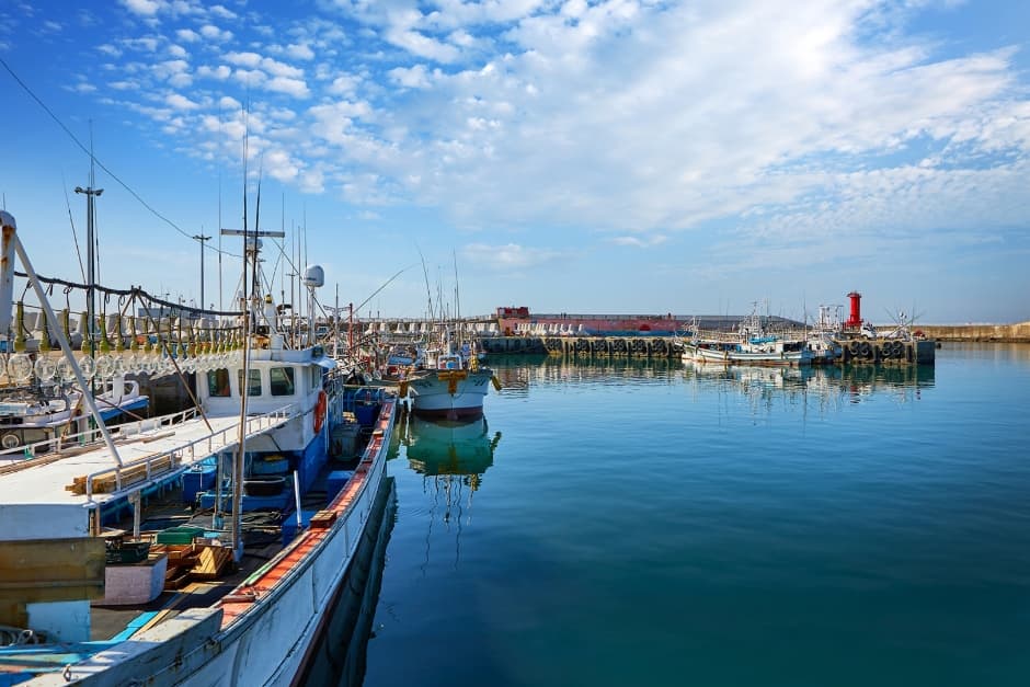 Moseulpo Port (모슬포항)