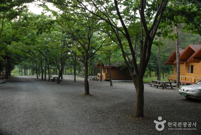고산자연휴양림_17