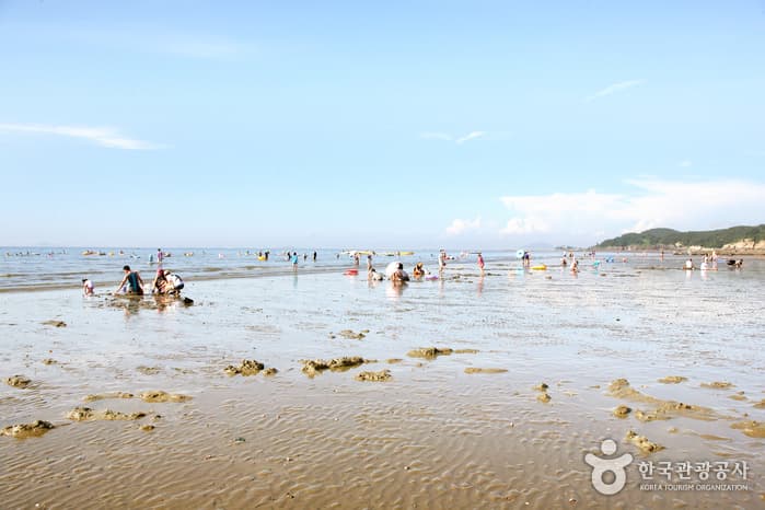 고사포해수욕장_21