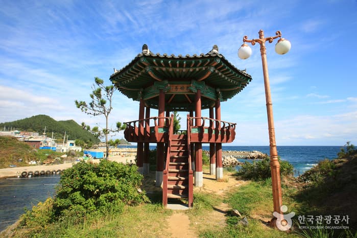 대게원조마을_007