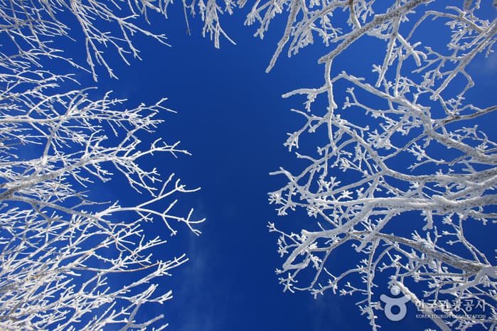 덕유산국립공원_037