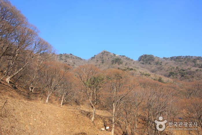 경기도_군포시_수리산도립공원_008