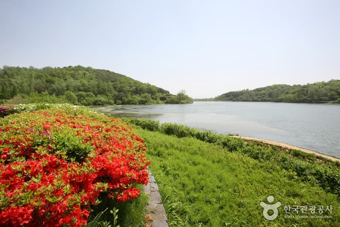 전라북도_익산시_서동공원_036