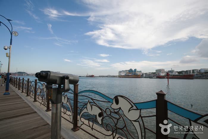 울산극경회유해면