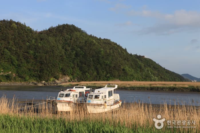130510전남_순천_순천만자연생태공원 16