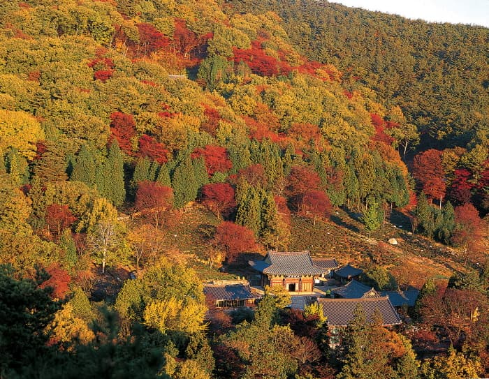 사천_다솔사_(6)