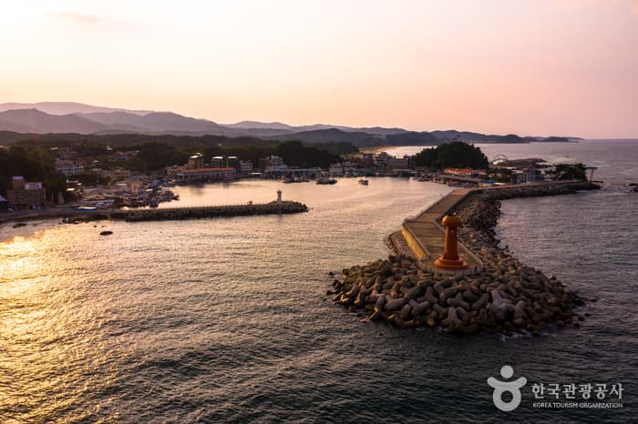 남애항