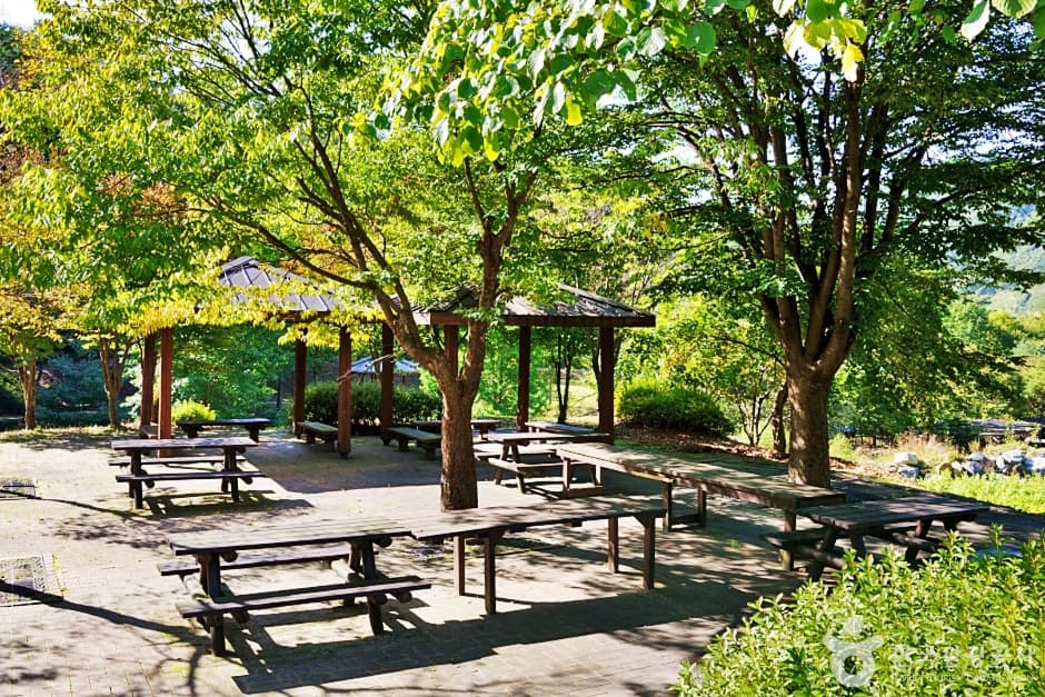 수옥정관광지 (6)