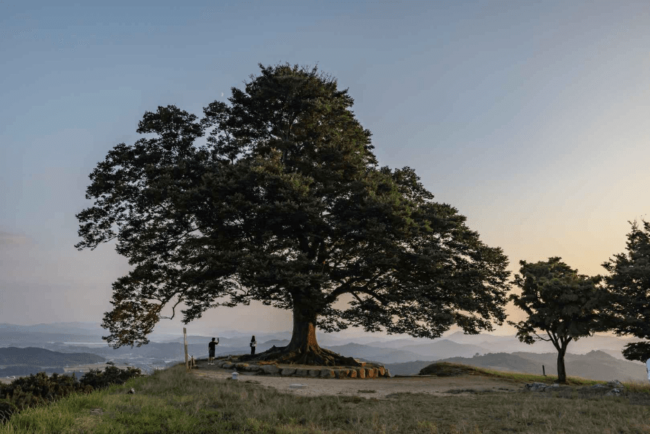 부여 가림성 (3)