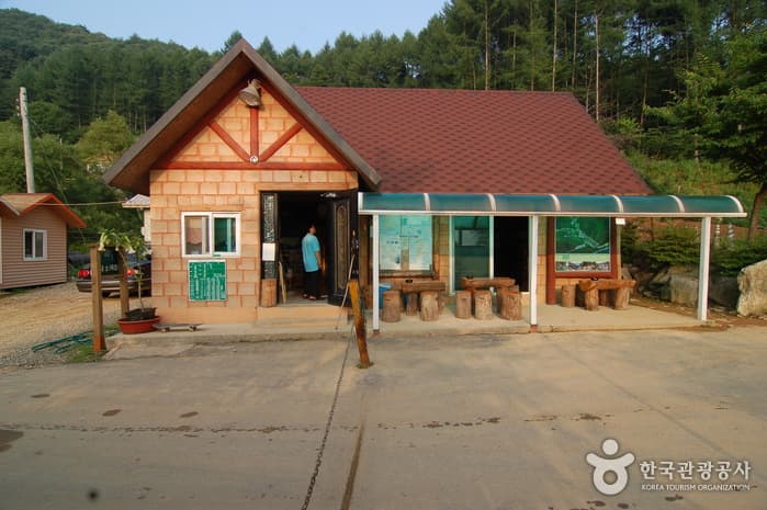 주천강강변자연휴양림_26