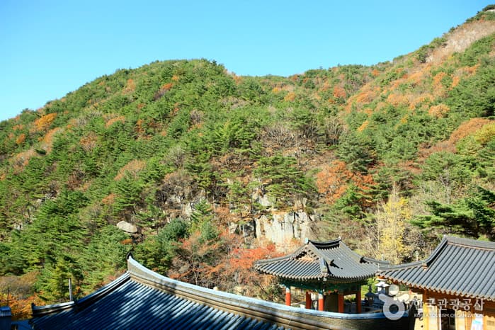 팔공산도립공원 관암사_13