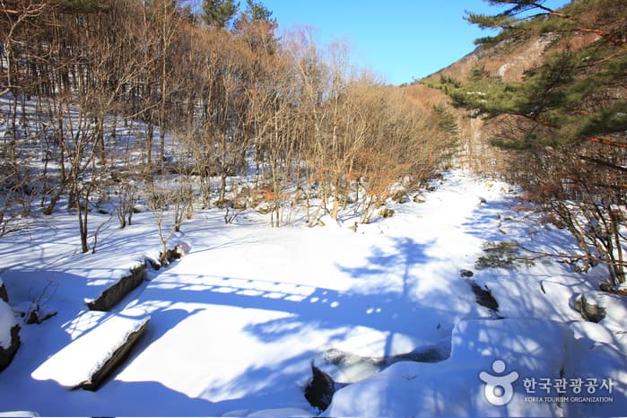 구천동 계곡_001