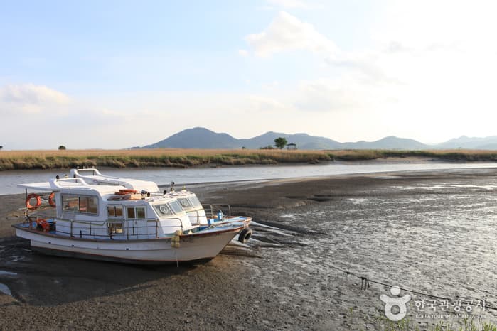 130510전남_순천_순천만자연생태공원 17
