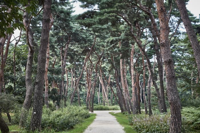 한국문화관광연구원_남양주 사릉_03