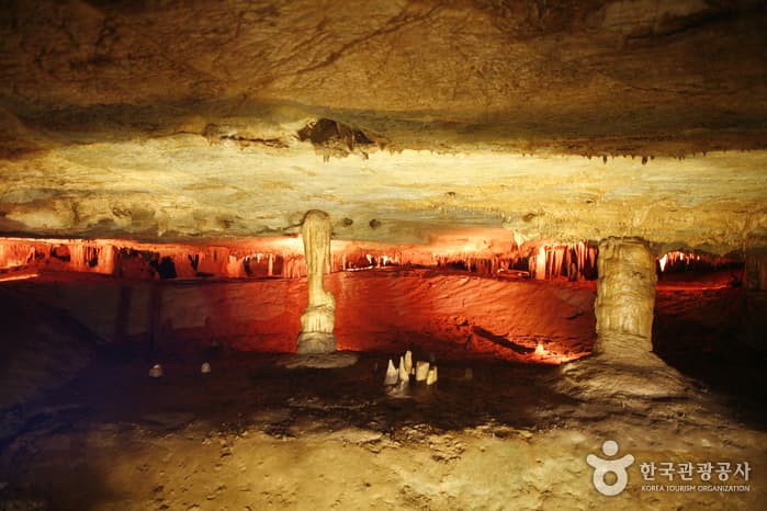 강원_동해_도심 속 숨겨진 신비의 지하 세계, 동해 천곡황금박쥐동굴_01