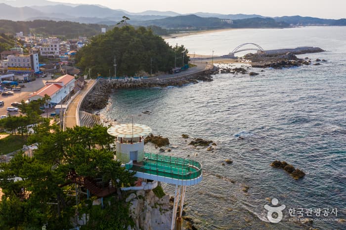 남애항
