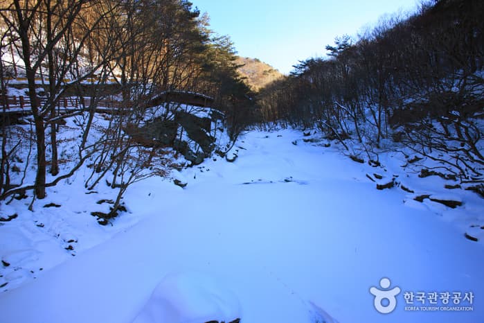 구천동 계곡_002