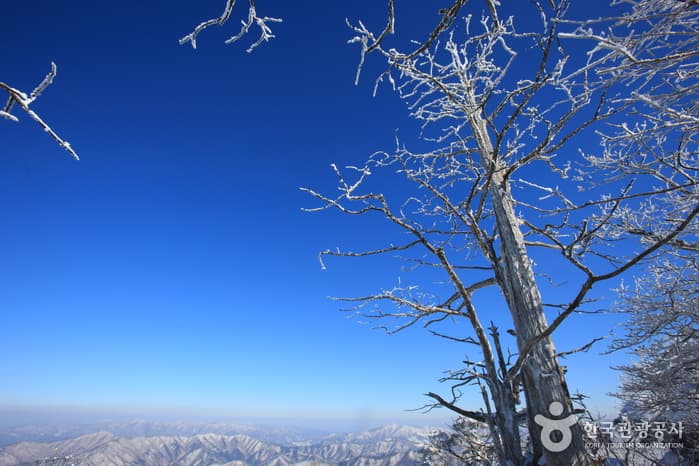 덕유산국립공원_239