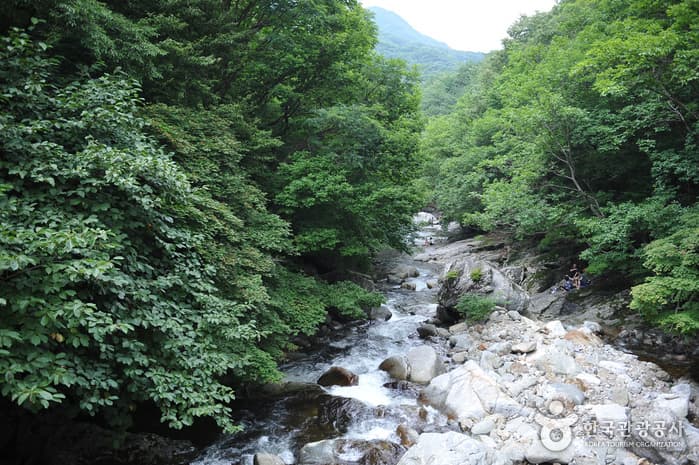 구천동계곡