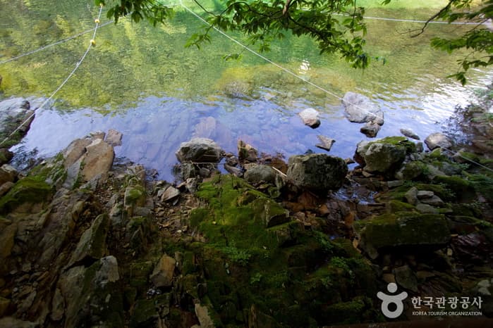 전북_남원_뱀사골계곡04