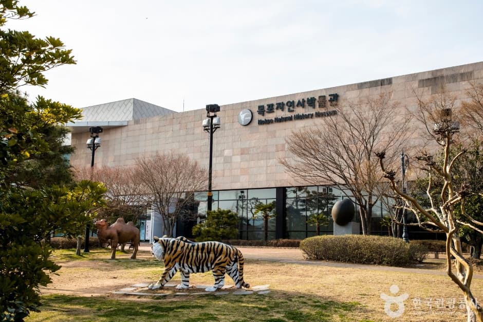 목포자연사박물관 (4)
