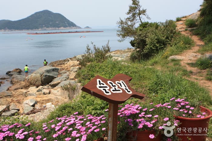 청산도항도55