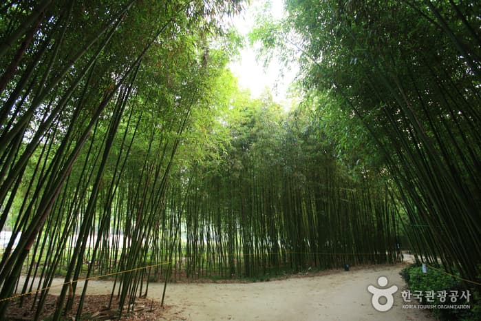 울산광역시_남구_태화강대공원_036