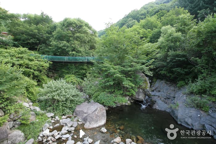 지리산자연휴양림