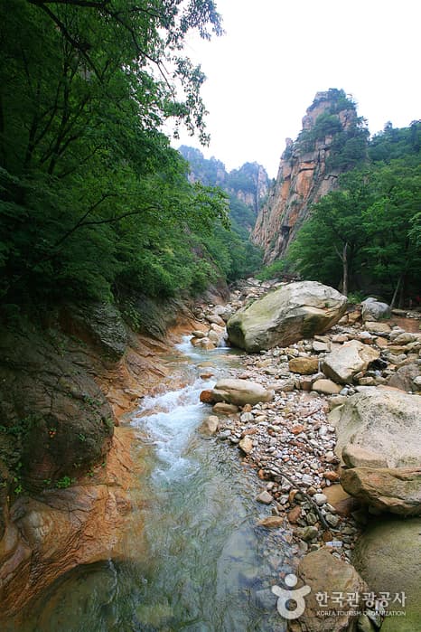 강원_양양_흘림골과 주전골을 걷다07