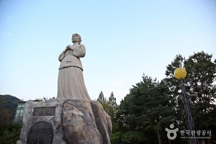 전북_정읍_시집가는 딸에게 준 향기로운 꽃, 정읍 옥정호구절초테마공원19