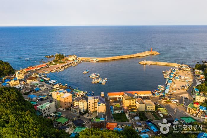 남애항