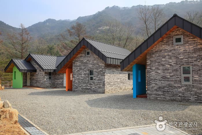 국립춘천숲체원 2021 촬영 2